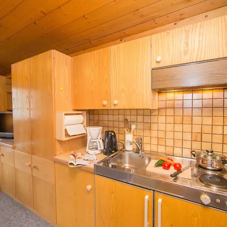 Kitzsteinhorn 아파트 *