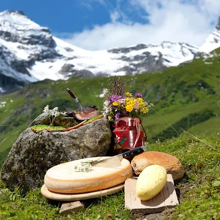 아파트 Kitzsteinhorn 젤암제