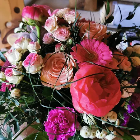 公寓 奇兹斯坦霍恩公寓 *