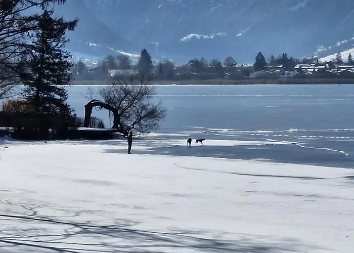 Daire Seeappartement Kitzsteinhorn Zell am See