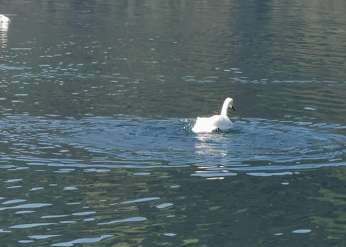 Apartamento Seeappartement Kitzsteinhorn